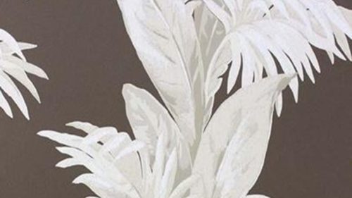 Palmetto Chocolate-Stone NCW4274-04